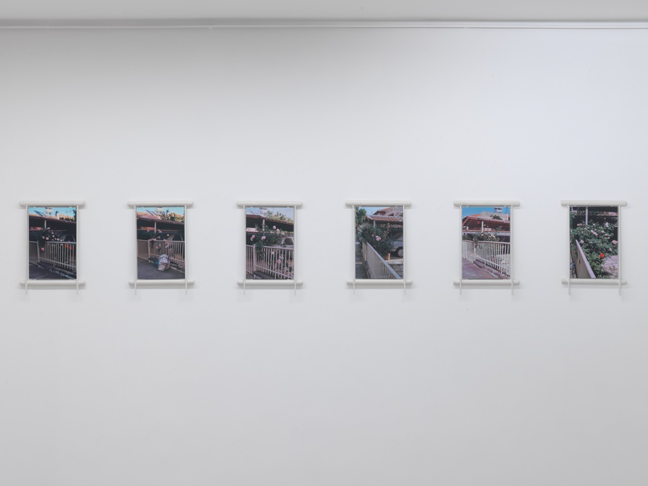 Syndromes of Synthetic Never